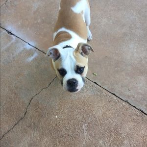 Meet your Posher, Evelyn